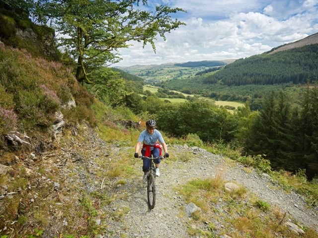 Mountain biking in the Gwydir forest