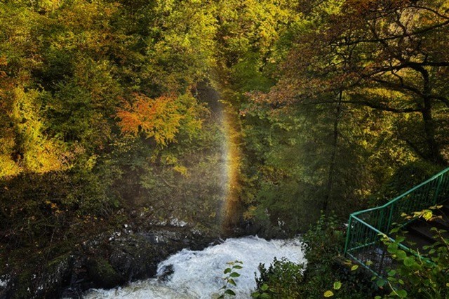 swallow falls 2