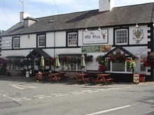 The Old Stag