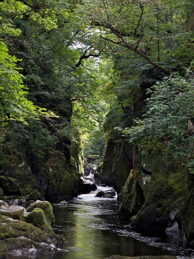 Fairy Glen, a local beauty spot