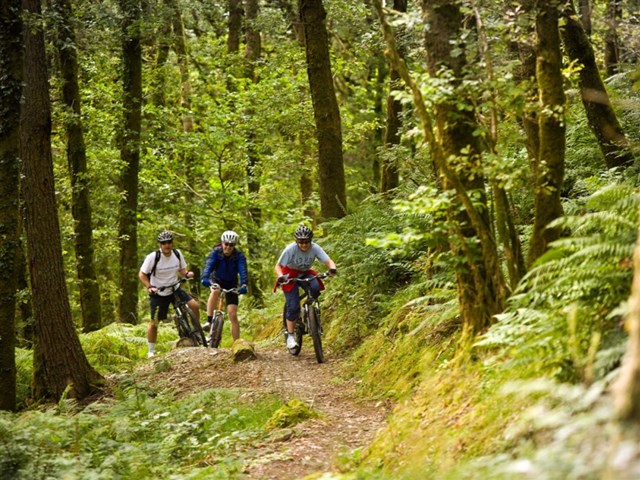 Penmachno forest trails