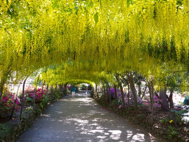 Bodnant Gardens at nearby Tal-y-Cafn