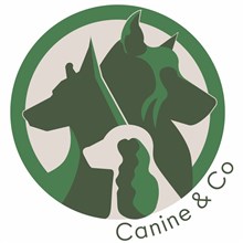 Canine & Co