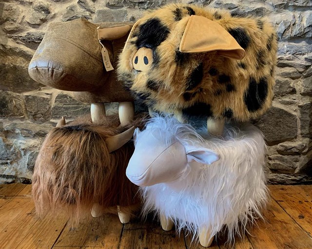 OakOwlFox in Llanrwst