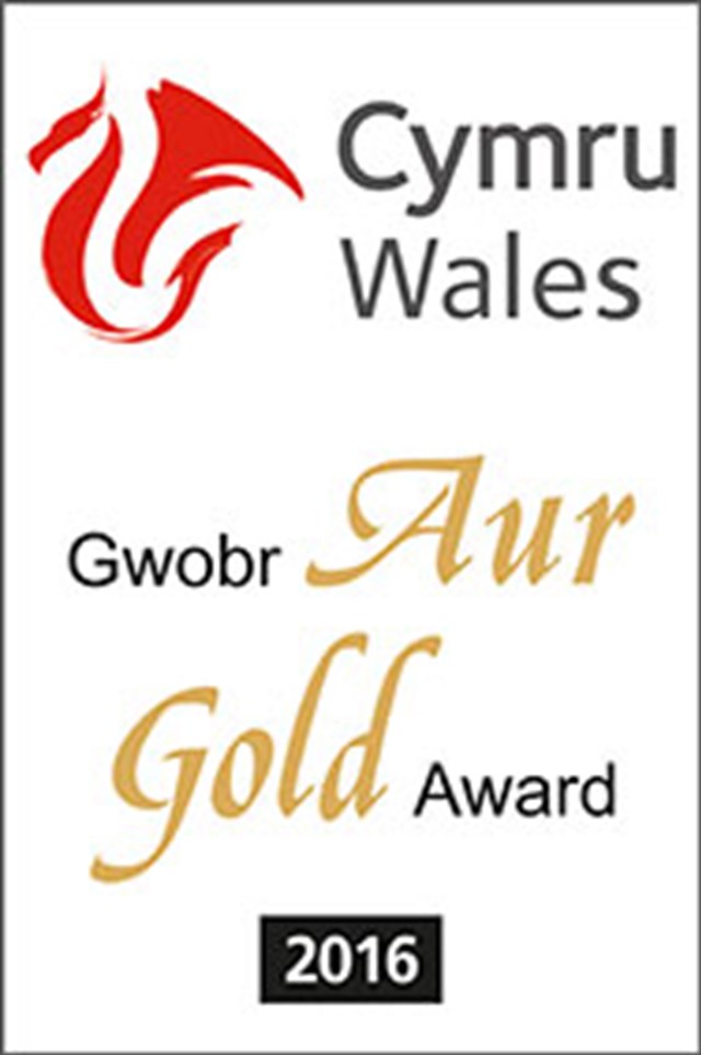 Gold Award