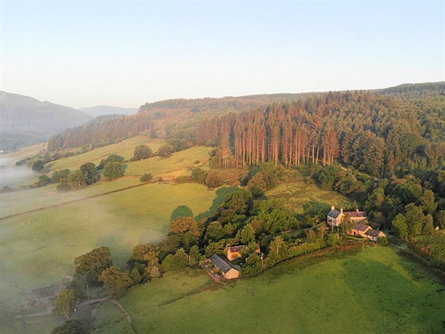 aerial